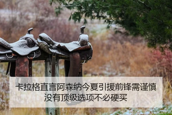 卡拉格直言阿森纳今夏引援前锋需谨慎 没有顶级选项不必硬买